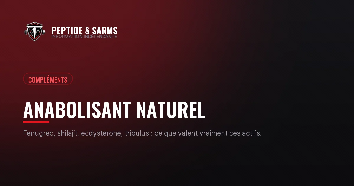 Bannière du dossier sur les anabolisants naturels à base de plantes et la testostérone